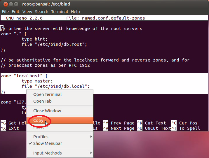 Default zones. Default zones. Линукс etc/bind/named. Low internet. Default zones.
