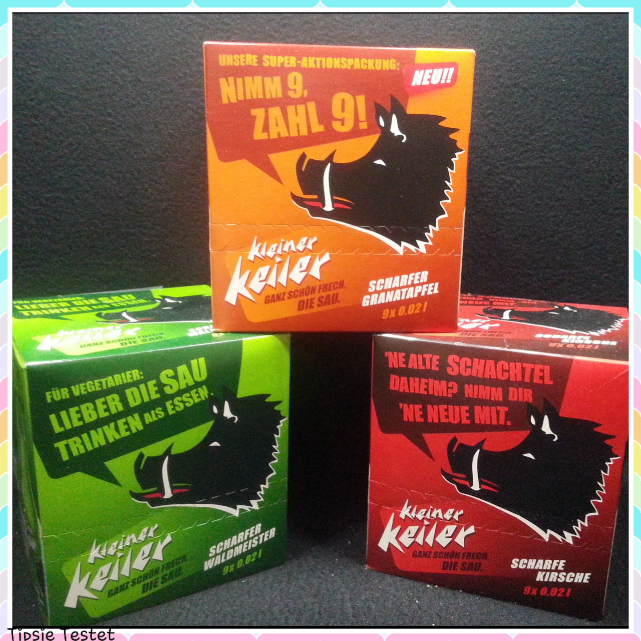 Regensburger Tagebuch Wie Geht S Yorki