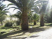 jardín botánico buap