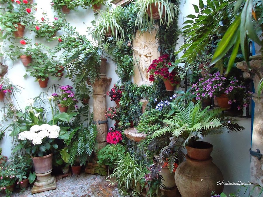 patios cordobeses