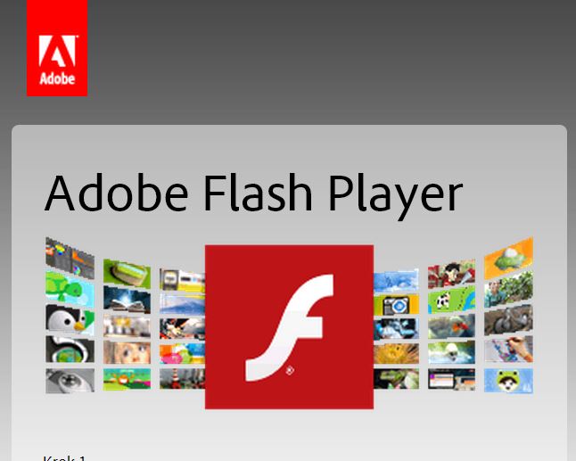 flash player free download for windows 10 64 bit