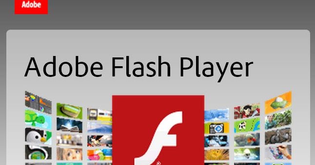 Adobe flash offline download installer