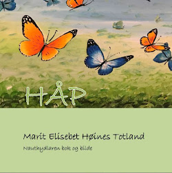 Ny bok: HÅP