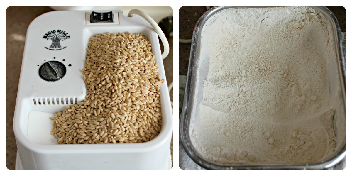 RisC Handmade Homemade Whole Wheat Bread That You Will Actually Want