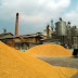 Lagos govt to establish rice mill in Kebbi