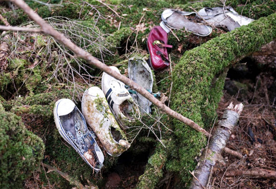 Hutan bunuh diri Aokigahara, Jepang | All About Japan | MOshi-MOshi