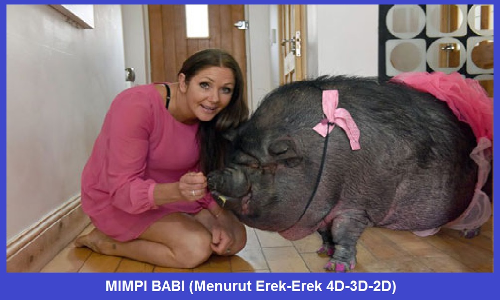 Mimpi Babi Menurut Erek Erek 4d 3d 2d Mimpi Babi Menurut Erek Erek 4d 3d 2d