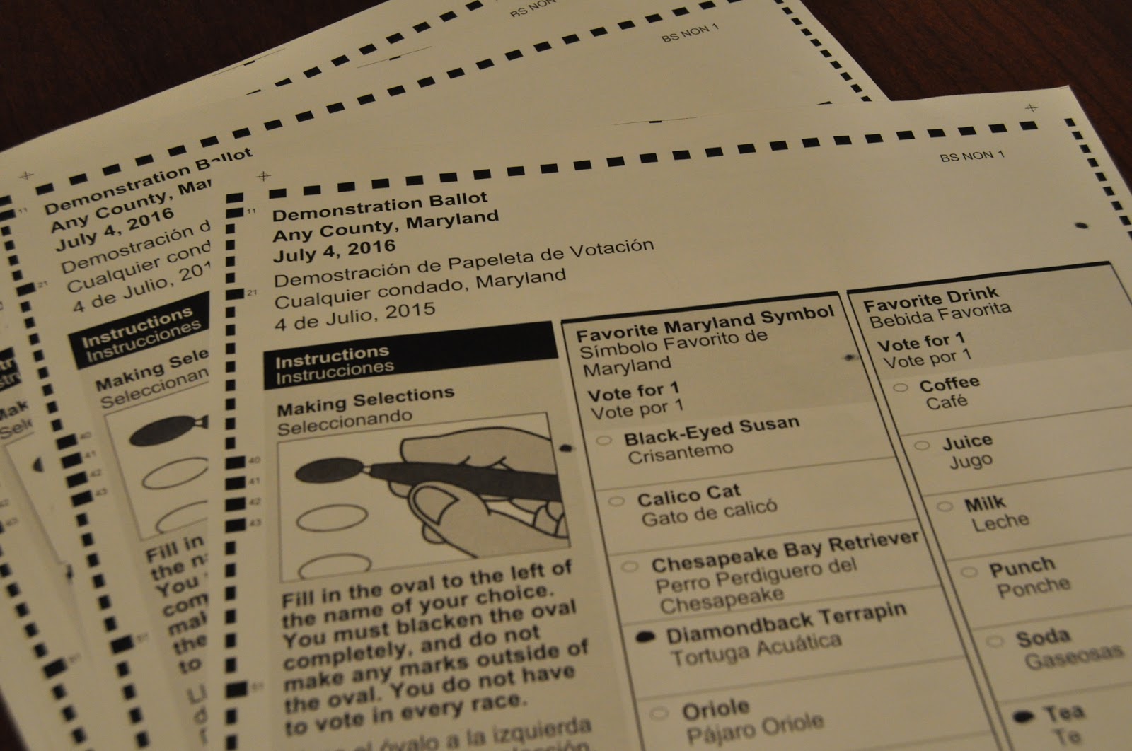 Community Architect Daily The case for hand counted paper ballots
