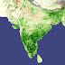 Urban tree cover  and air-pollution - India