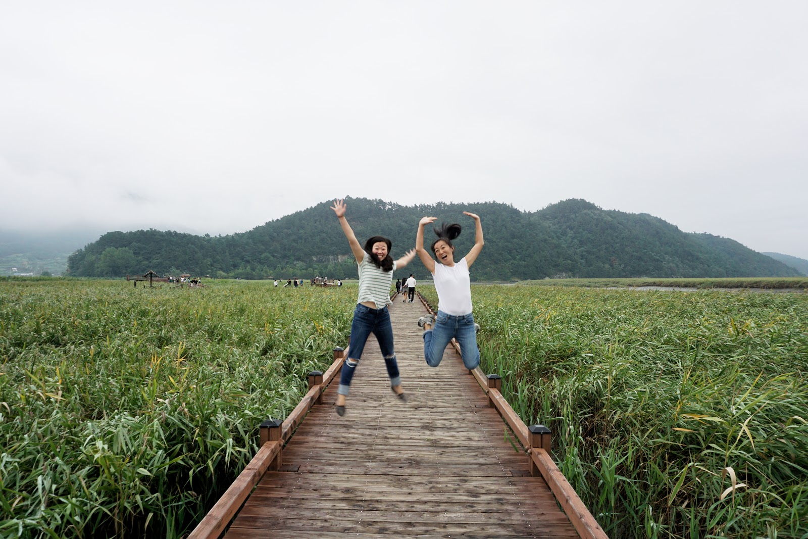 TOUR KOREA WITH 'GOH TRAVEL KOREA'!!