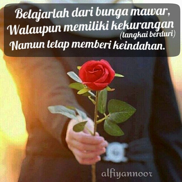 Image Result For Kata Mutiara Kehidupan Gokil Image Result For Kata Mutiara Kehidupan Gokil