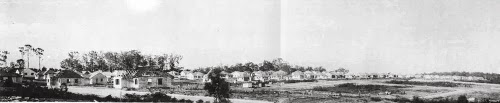 Serviceton housing project, 1952 (State Library of Queensland)