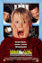 Home Alone Poster