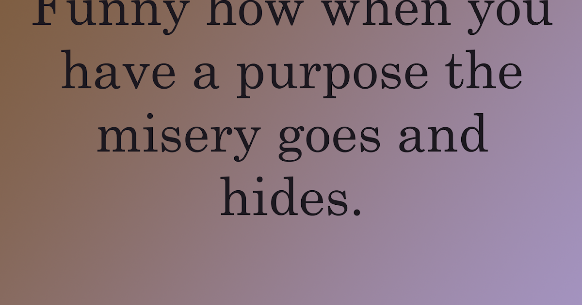 A Book to Read and Love Euphoria by Lily King Summary & Review