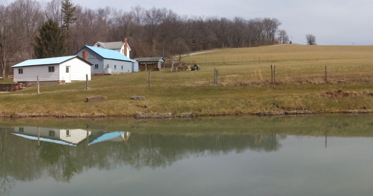 Valley Brook Farm History