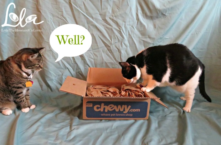 Chewy.com|Purina|Tidy Cats