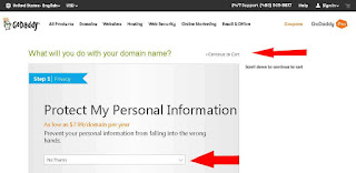 Payoneer terbaru: Cara Beli Domain Di Godaddy Dengan Kartu Payoneer
