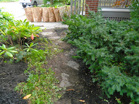 Davisville Toronto garden clean up after Paul Jung Gardening Services