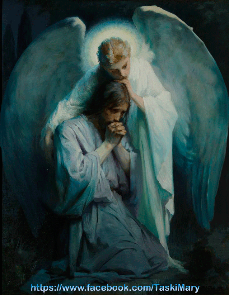 Cristo te Amo: Jesús y el Ángel