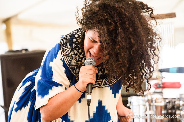  Lido Pimienta at Hillside 2018 on July 15, 2018 Photo by John Ordean at One In Ten Words oneintenwords.com toronto indie alternative live music blog concert photography pictures photos