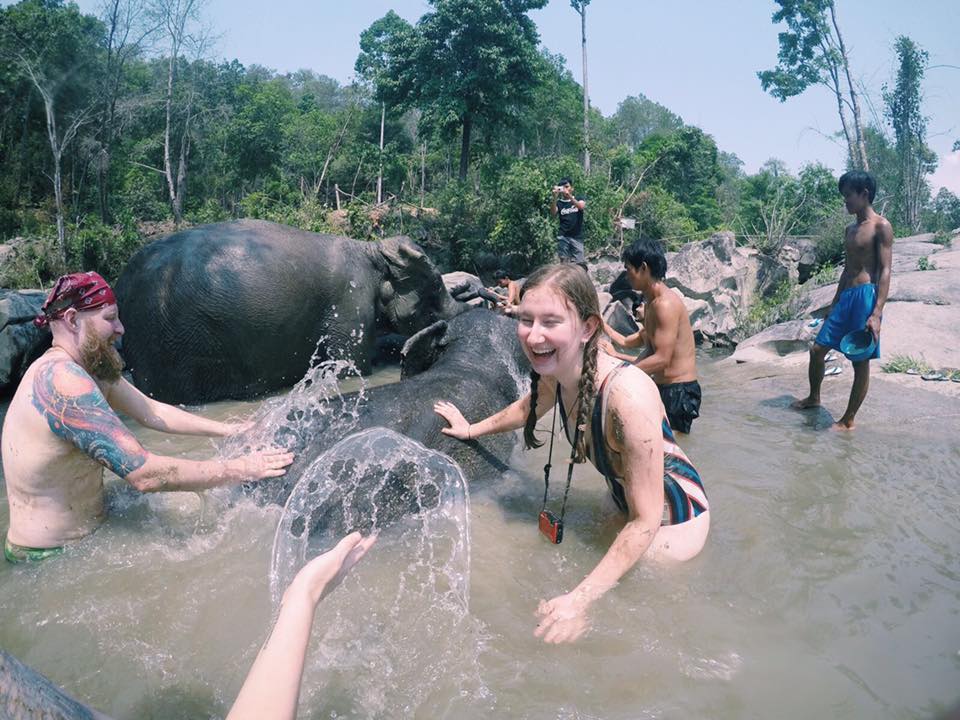 Into the wild elephant sanctuary Chiang Mai