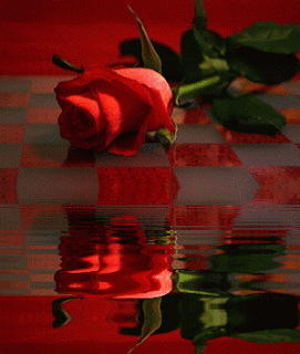 Breathtaking Sim Cards Iphone 11 Capture Digital Art