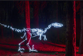 12-Velociraptor-Darren-Pearson-Dinosaurs-Palaeontology-Skeletons-and-Angels-in-Light-Paintings-www-designstack-co 