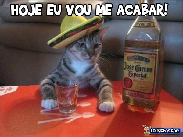 Memes Da Galeria Gerar Memes Gerador De Memes Online