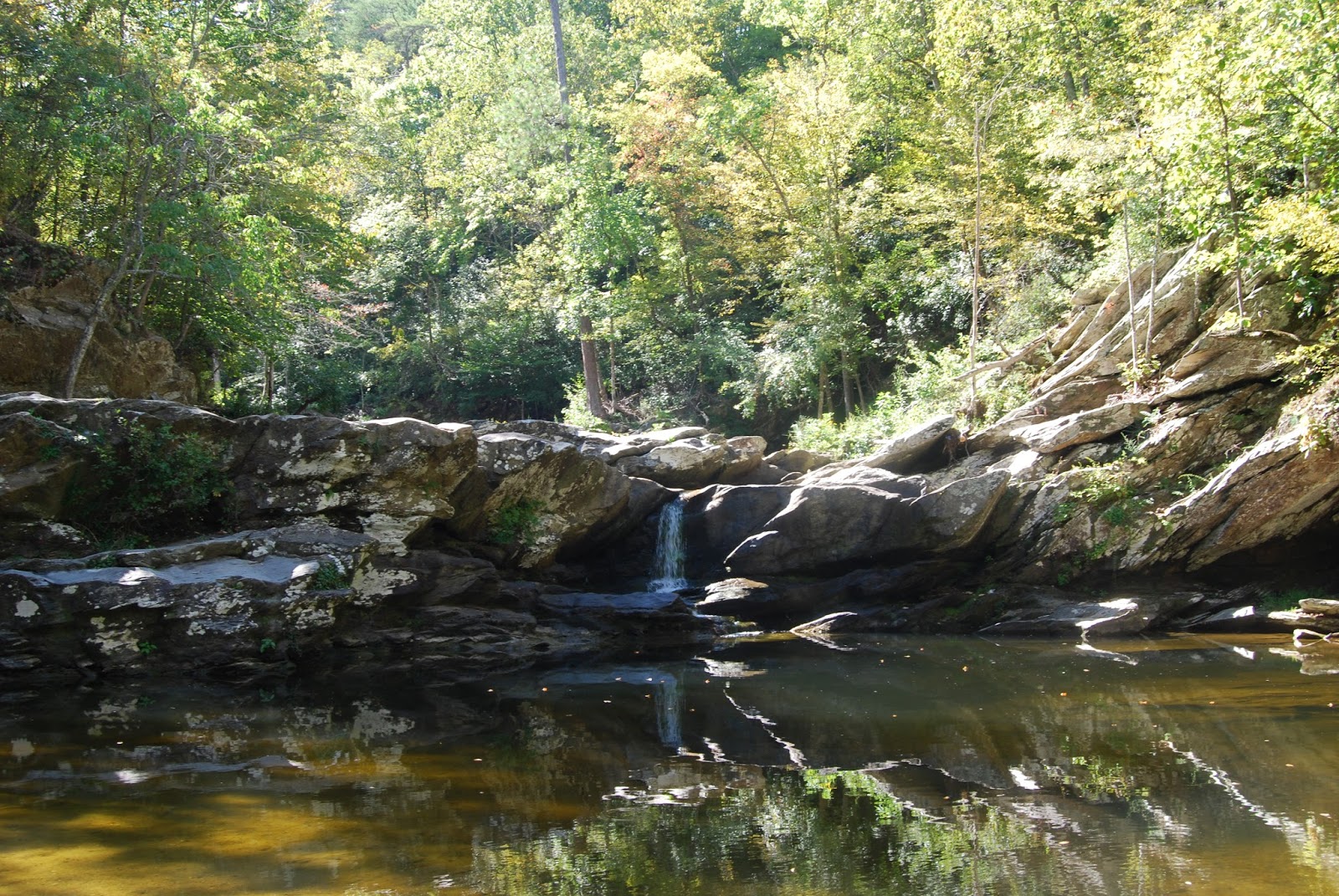 Campin' in Alabama Late Summer at Turnipseed