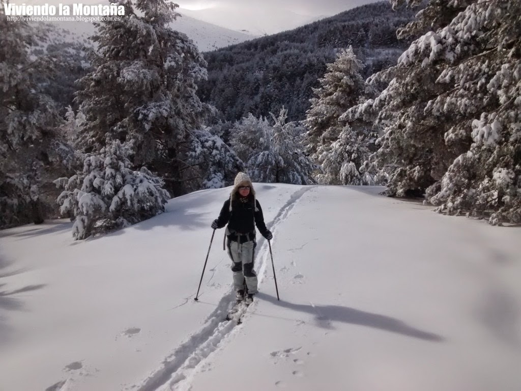 hay nieve en cotos