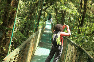Puente Colgante en Monteverde