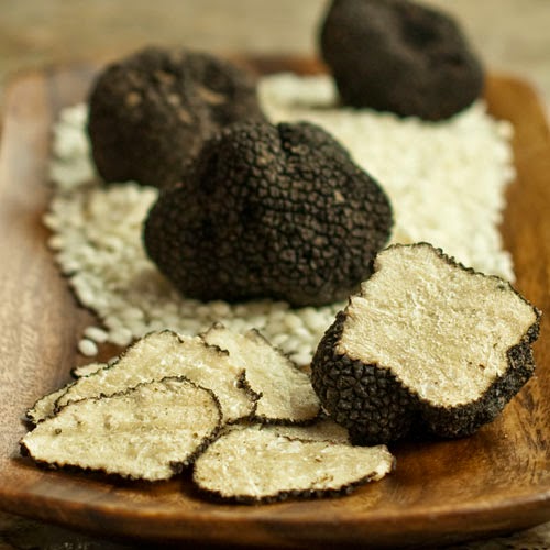Truffle ; the most expensive mushroom travell and culture