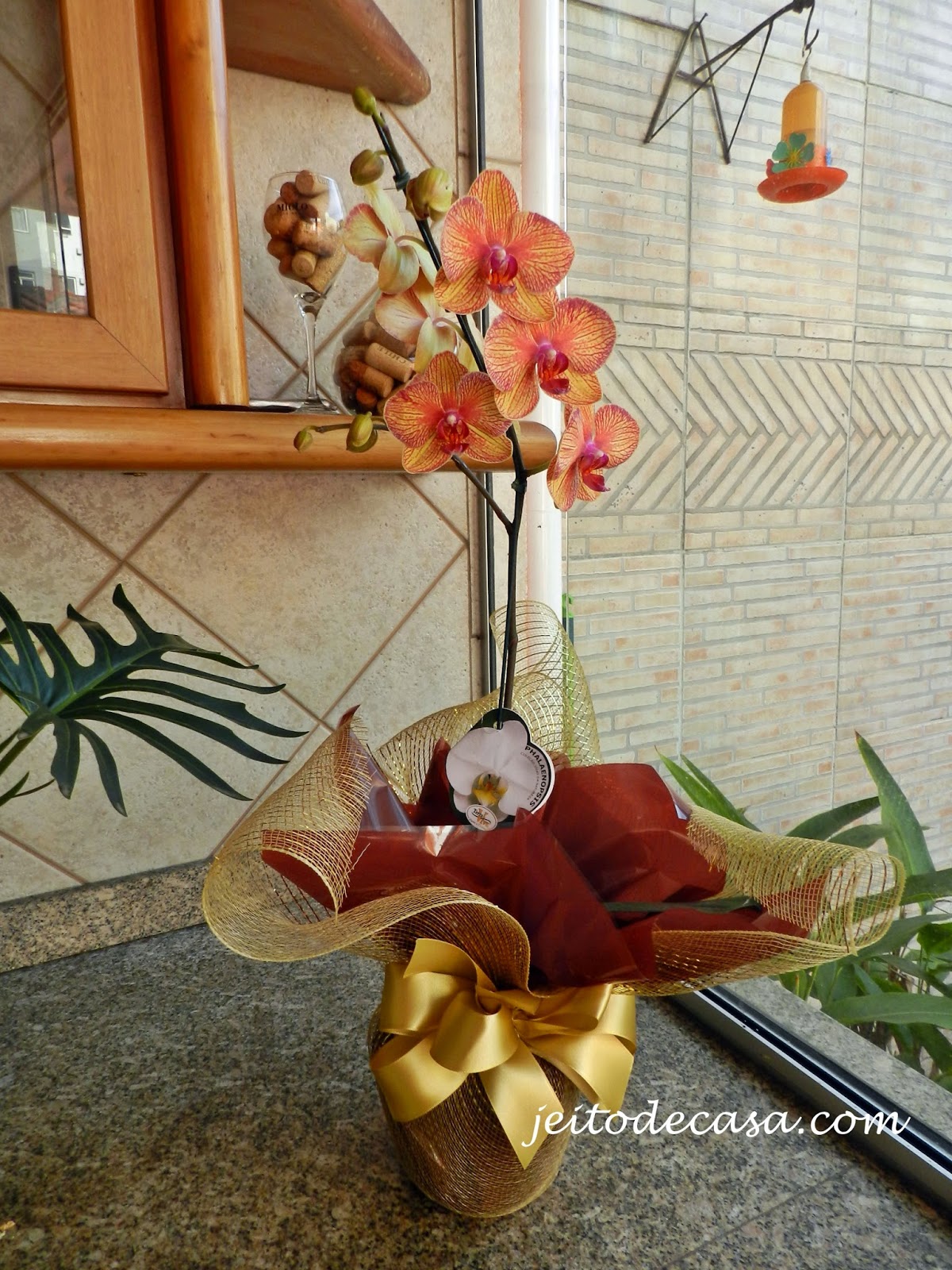 Orquídea, o presente perfeito!! - Jeito de Casa - Blog de Decoração e  Arquitetura