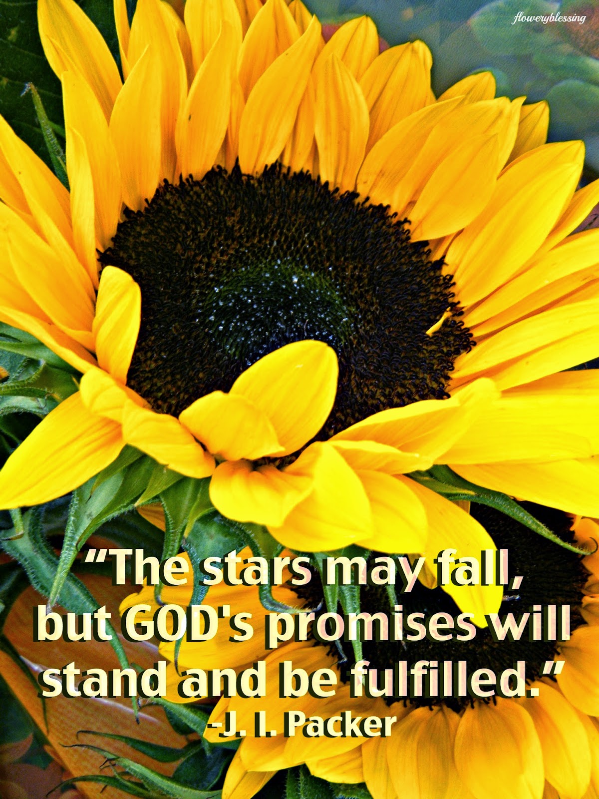 Flowery Blessing: “The stars may fall, but GOD's promises will stand ...