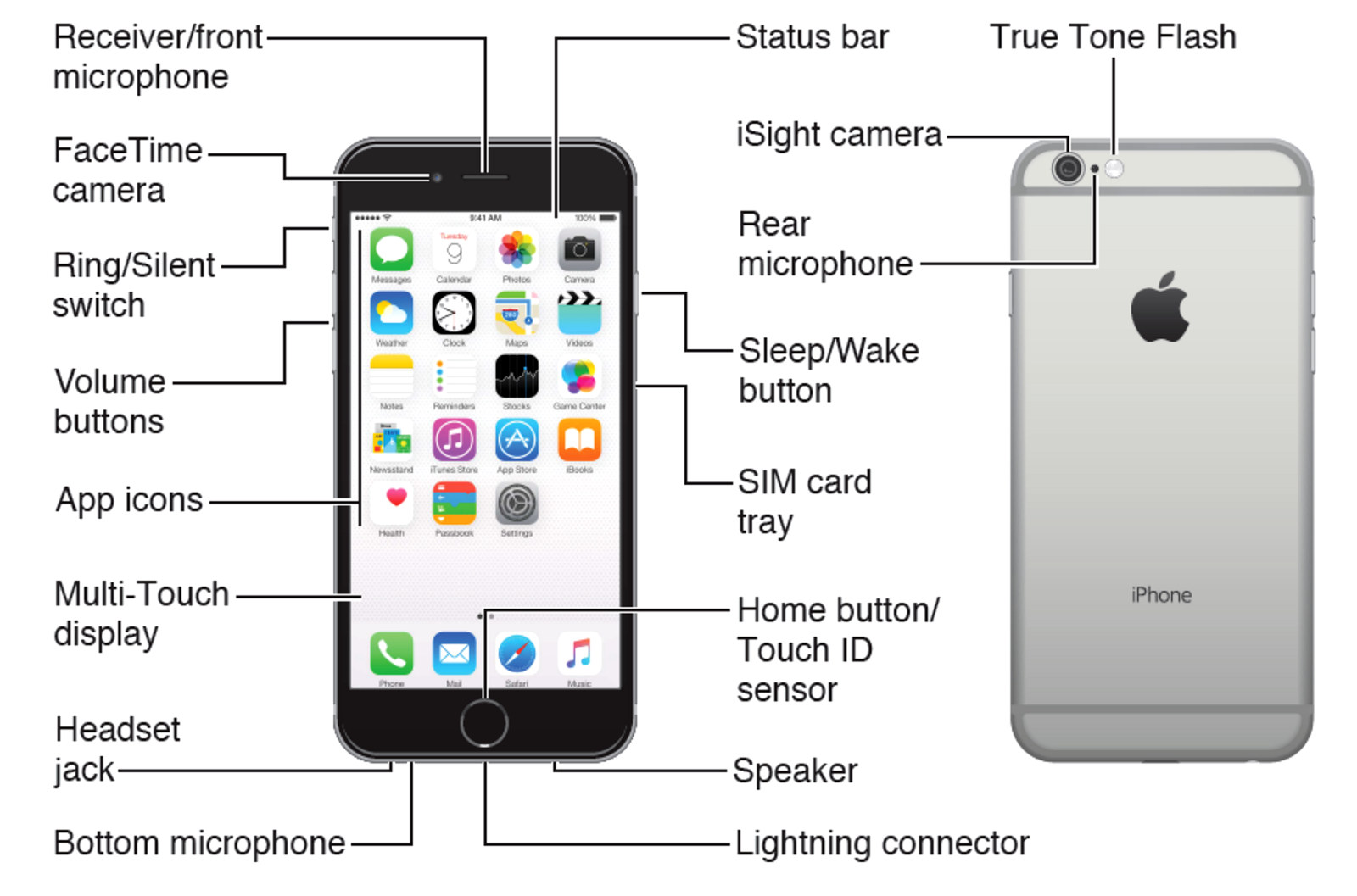 Diagram Apple Iphone Diagram Full Version Hd Quality Iphone Diagram Nochediagram Arcieriarcobaleno It