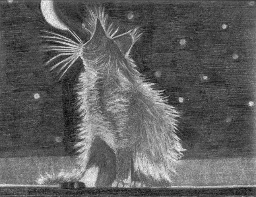 Drawing Saigon Drawing with an eraser