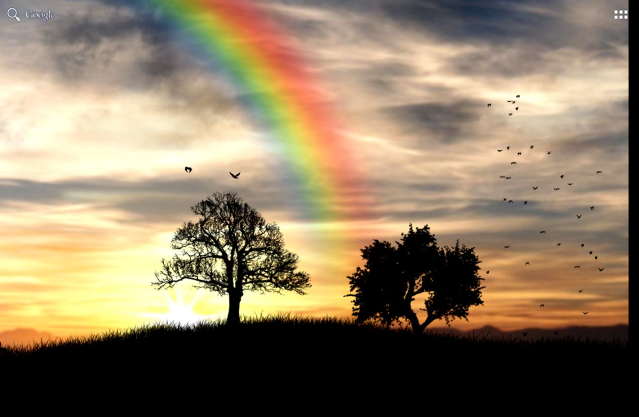 Sun Rise Free Live Wallpaper   Android Apps on Google Play