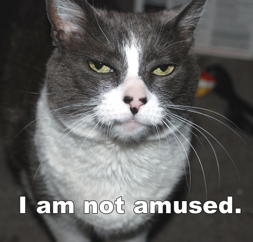Forum Image: http://3.bp.blogspot.com/-Cy17c5Ly_cE/UGSM3jS2GWI/AAAAAAAAG4c/kWV89IlEiQs/s1600/i-am-not-amused-cat-mem.jpg
