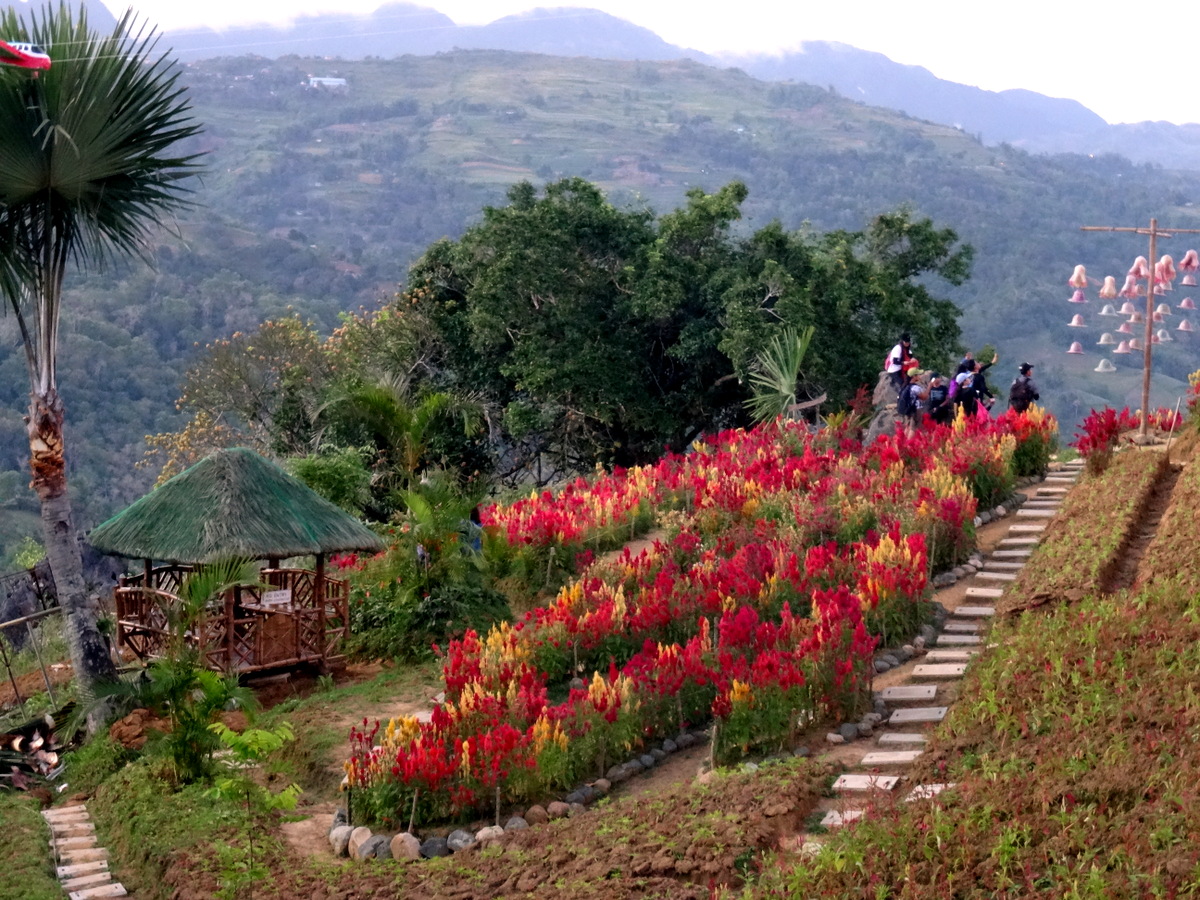 TRAVEL AND LIFESTYLE DIARIES Cebu, Philippines Marco Polo Views