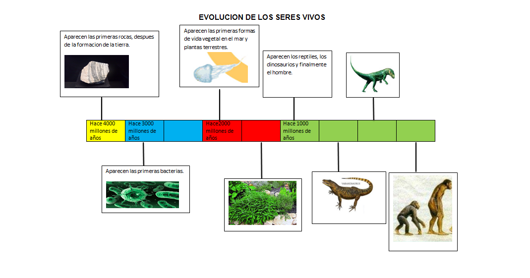 UN MUNDO POR DESCUBRIR!!! LINEA DE TIEMPO DE LA EVOLUCIÓN DE LOS SERES VIVOS