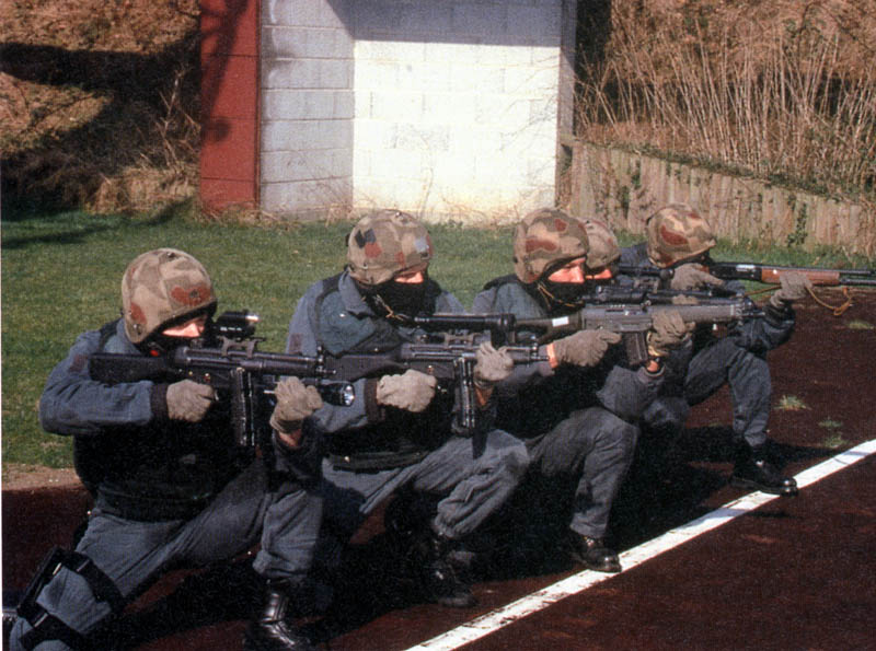 Gsg9 1/87 Unité spéciale: Le bouclier tactique RAMSES