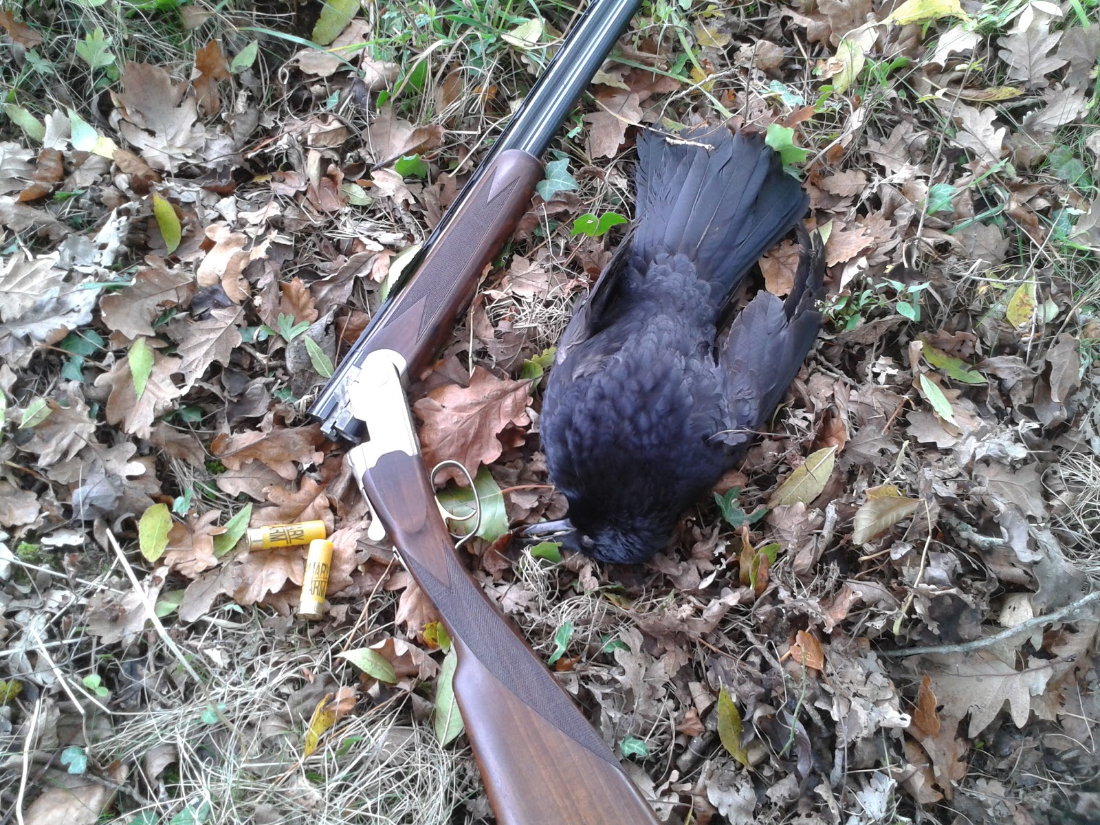 CHASSE PECHE NATURE ET BANDE DE COPAINS: cartouche calibre 20;;;;; qui