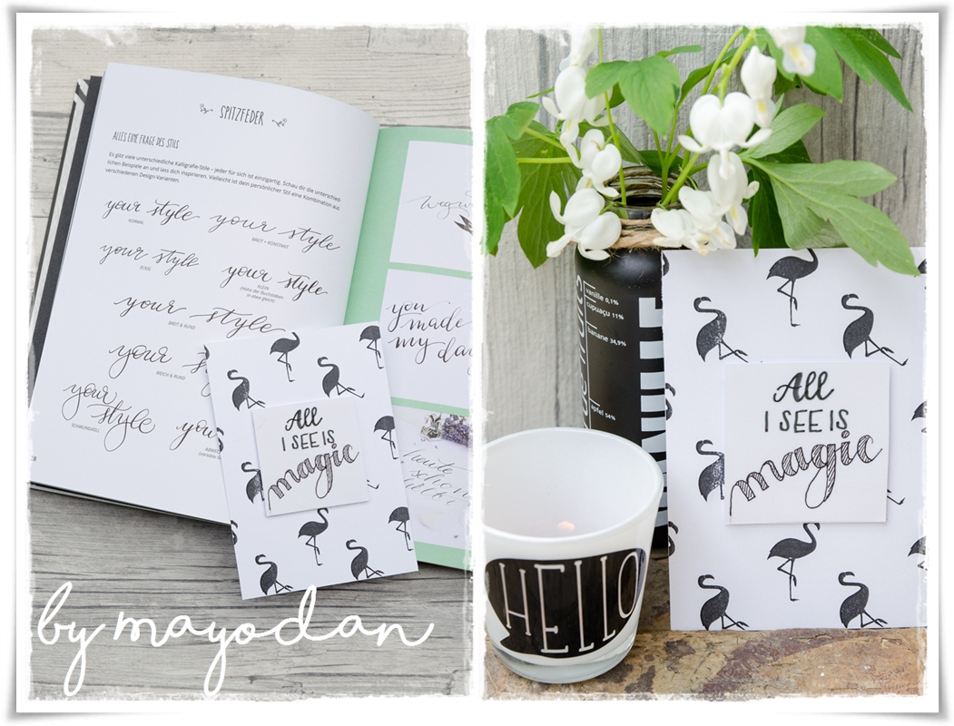 Buchvorstellung Und Verlosung Mayodans Blog