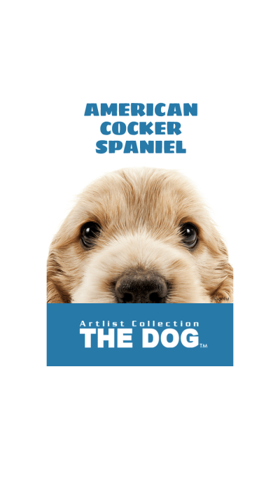 THE DOG American Cocker Spaniel 2