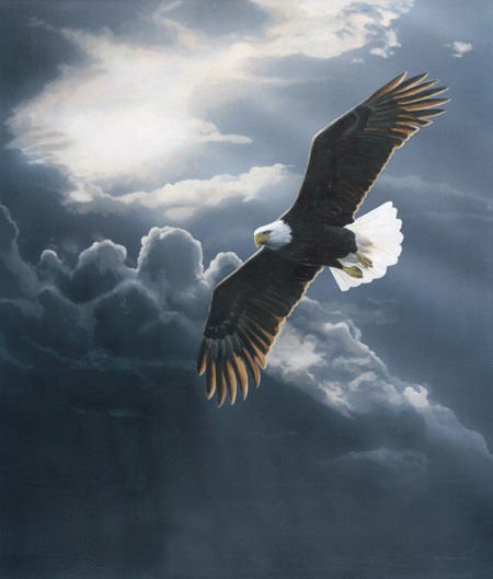 christian clip art eagle - photo #33