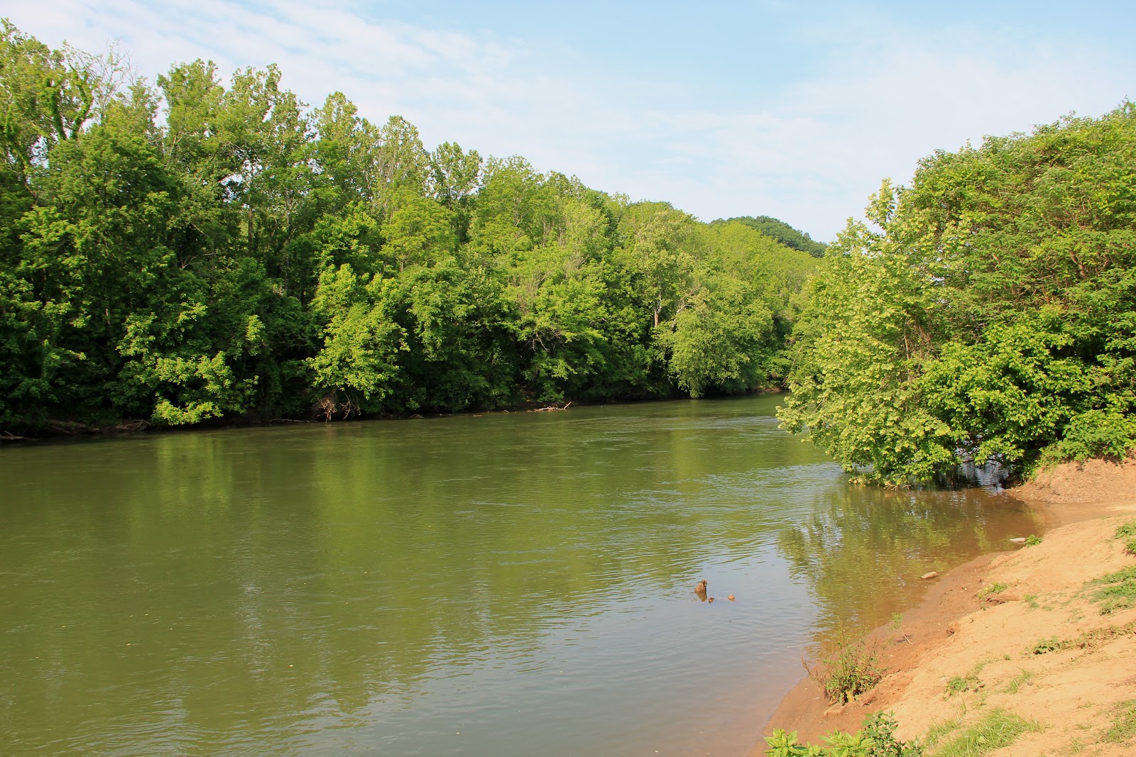 Bringing along OCD . . . Down by the Staunton River