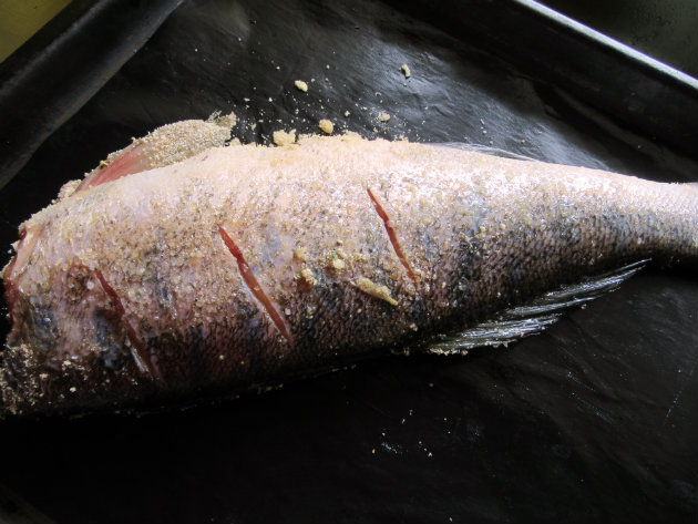 Baked perch with herb stuffing by Laka kuharica: Place the fish in the prepared dish and cover