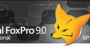 VISUAL FOXPRO 9.0