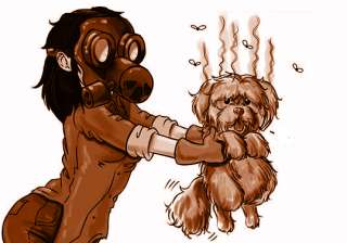 Togliere ed eliminare odore e puzza dal pelo del cane