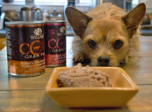 Mini Review: Wellness CORE Canned Dog Food